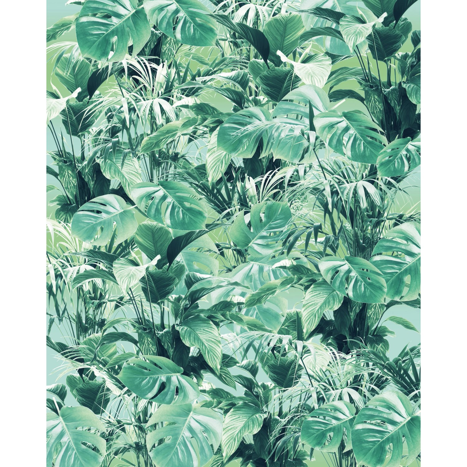 Komar Vliesová fototapeta Evergreen 200 x 250 cm