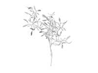 DPI Dekorativní umělá větvička jmelí zeleno-bílá 70 cm