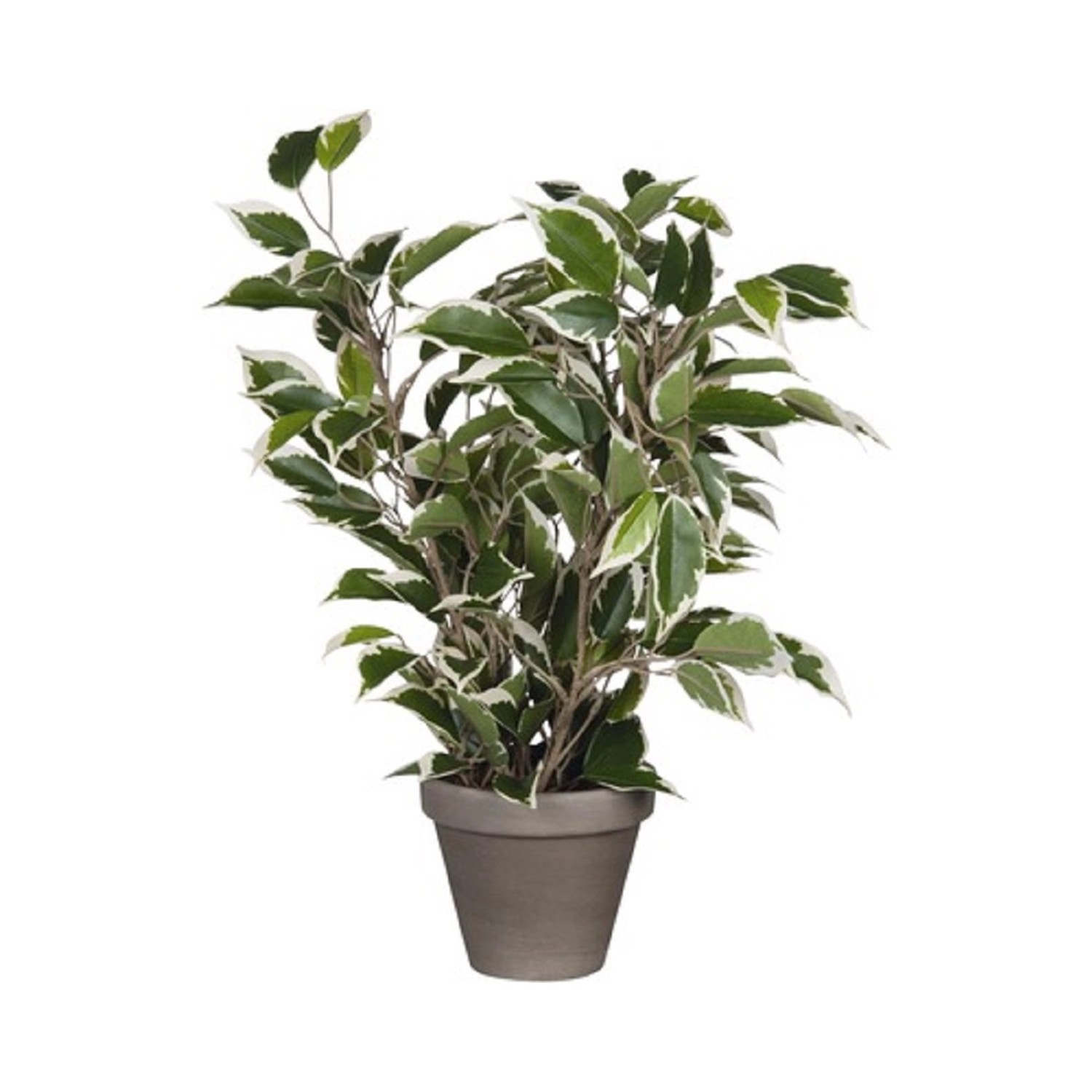 Mica Decorations Umělá květina Ficus Natasaja 40 cm