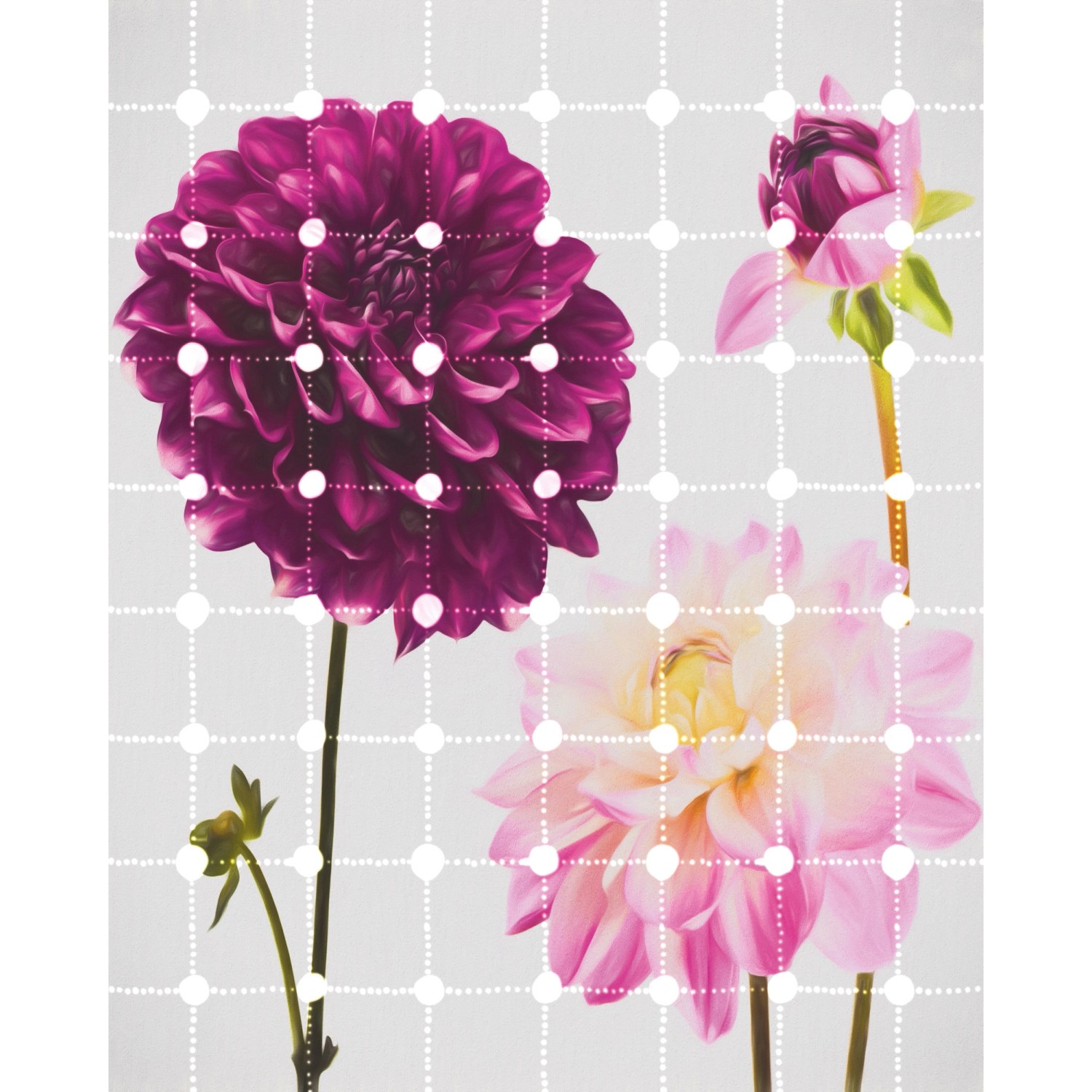Komar Vliesová fototapeta Flowers & Dots 200 x 250 cm