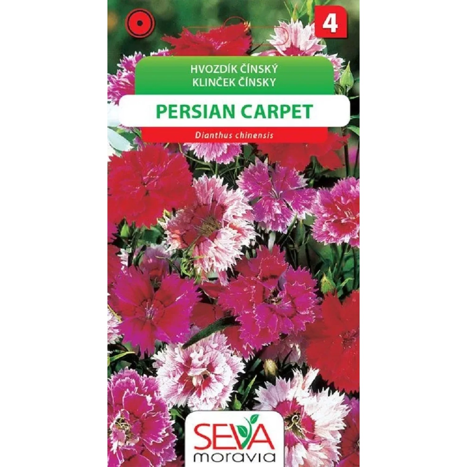 Semínka Hvozdík čínský Persian Carpet (Dianthus chinensis)