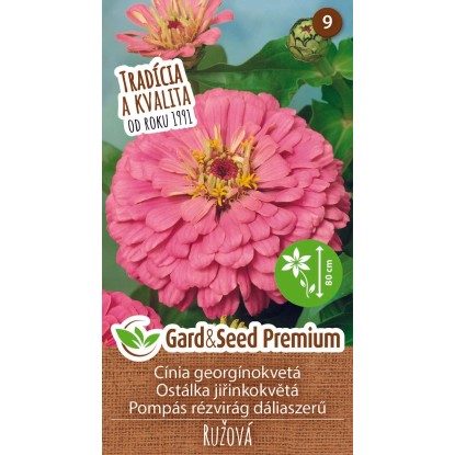 GardenSeed Premium Semínka Ostálka jiřinokvětá růžová