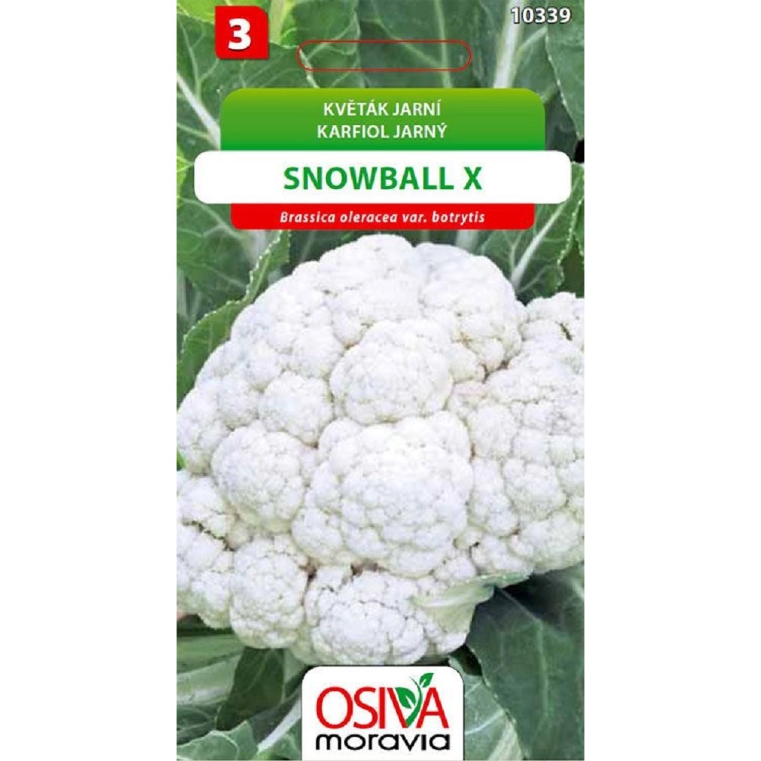 Semínka Květák jarní Snowball X (Brassica oleracea var. botrytis)