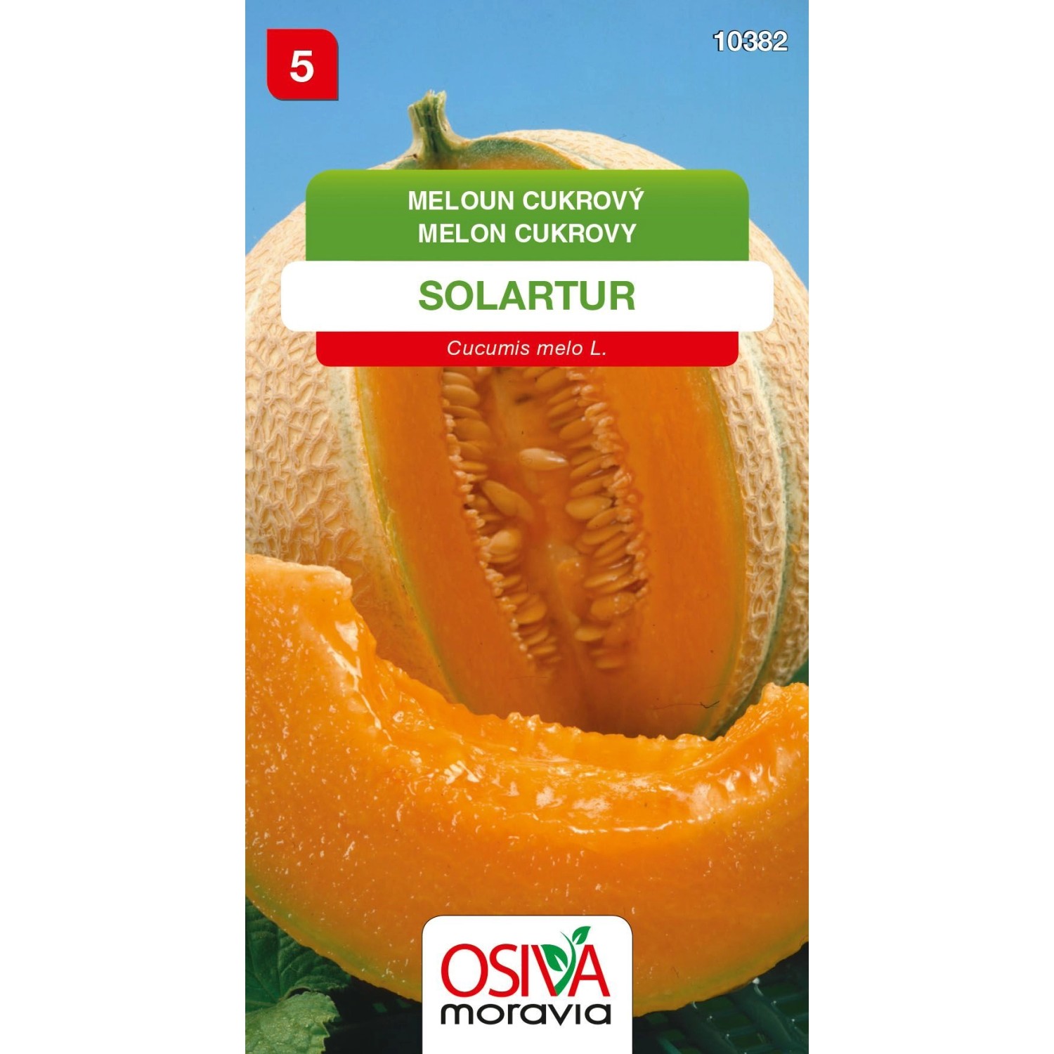 Meloun Cukrový - Solartur (Cucumis melo L.)