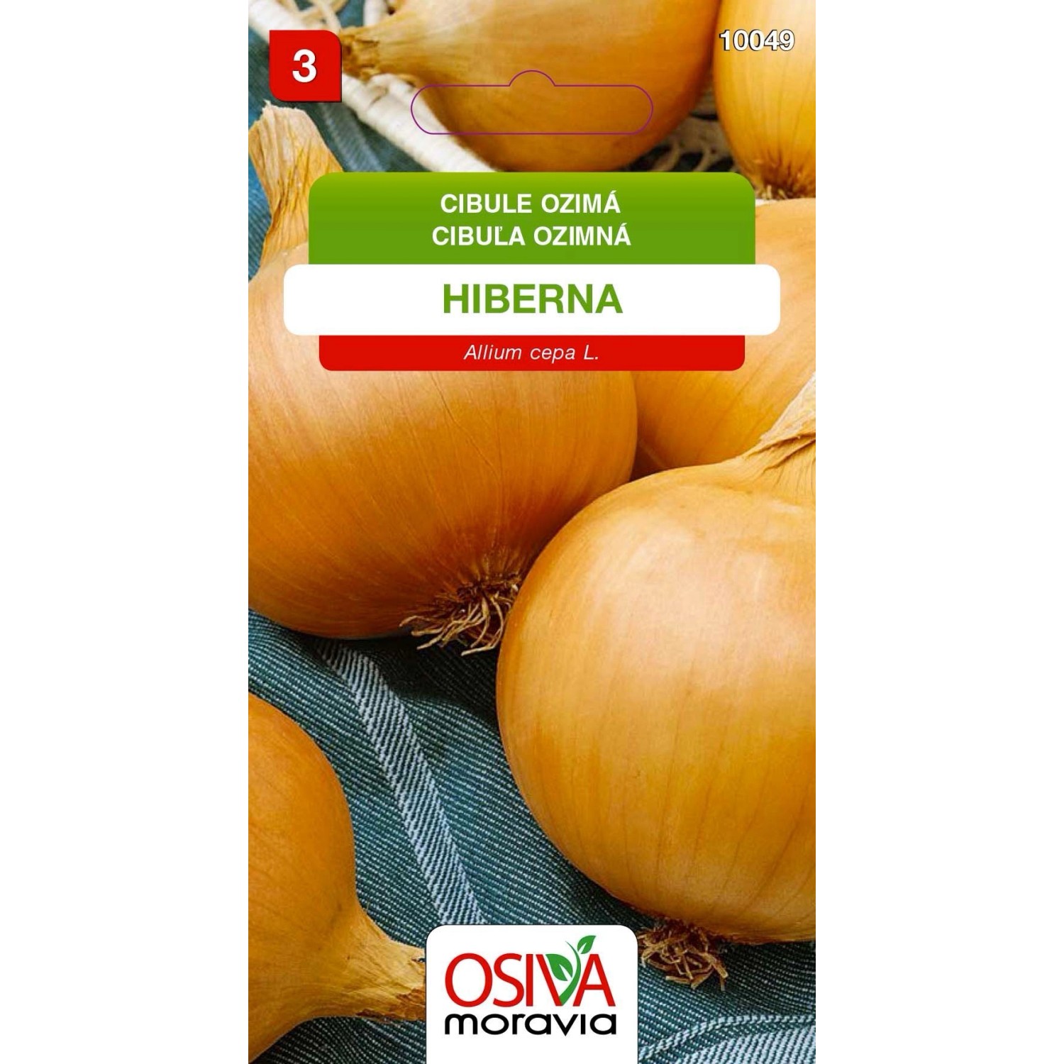 Semínka Cibule ozimá Hiberna (Allium cepa L.)