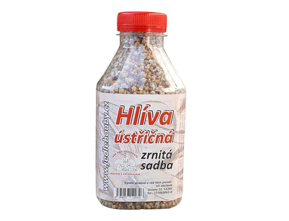 Hliva Ustricna Sadba Prodej