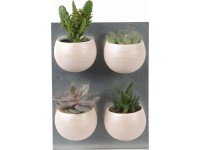 Mini sukulenty v bílém magnetickém květináči průměr květináče cca 6 cm Mini sukulenty v bílém magnetickém květináči průměr květináče cca 6 cm