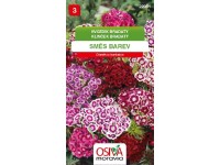 Semínka Hvozdík bradatý směs barev (Dianthus barbatus)