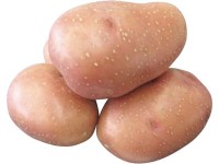 Brambory ROSARA sadbové červené velmi rané 5 kg Brambory ROSARA sadbové červené velmi rané 5 kg