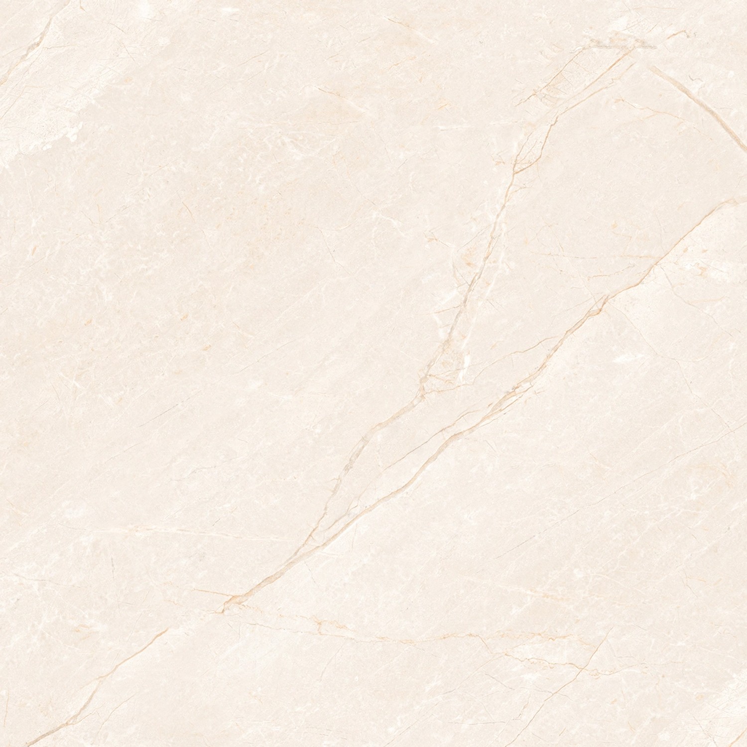 Dlažba Carno Ivory, 60 x 60 cm