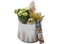 Zimní aranžmá kolopejky a dužnatky v betonovém květináči, pr. 13 cm