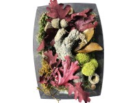 Mix na tvoření ze sušených listů květů a mechu mix