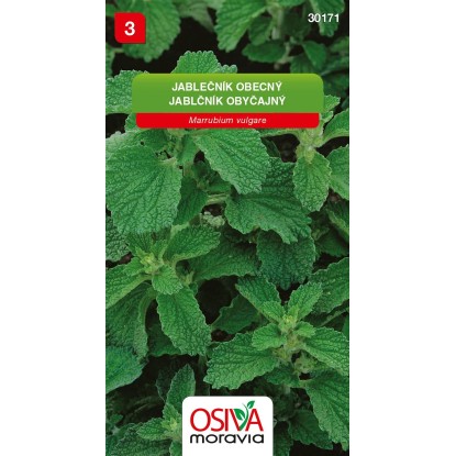 Jablečník Obecný (Marrubium vulgare)