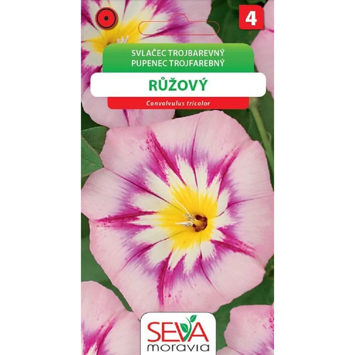 Semínka Svlačec trojbarevný růžový (Convolvulus tricolor)
