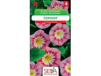 Svlačec Trojbarevný - červený (Convolvulus tricolor)