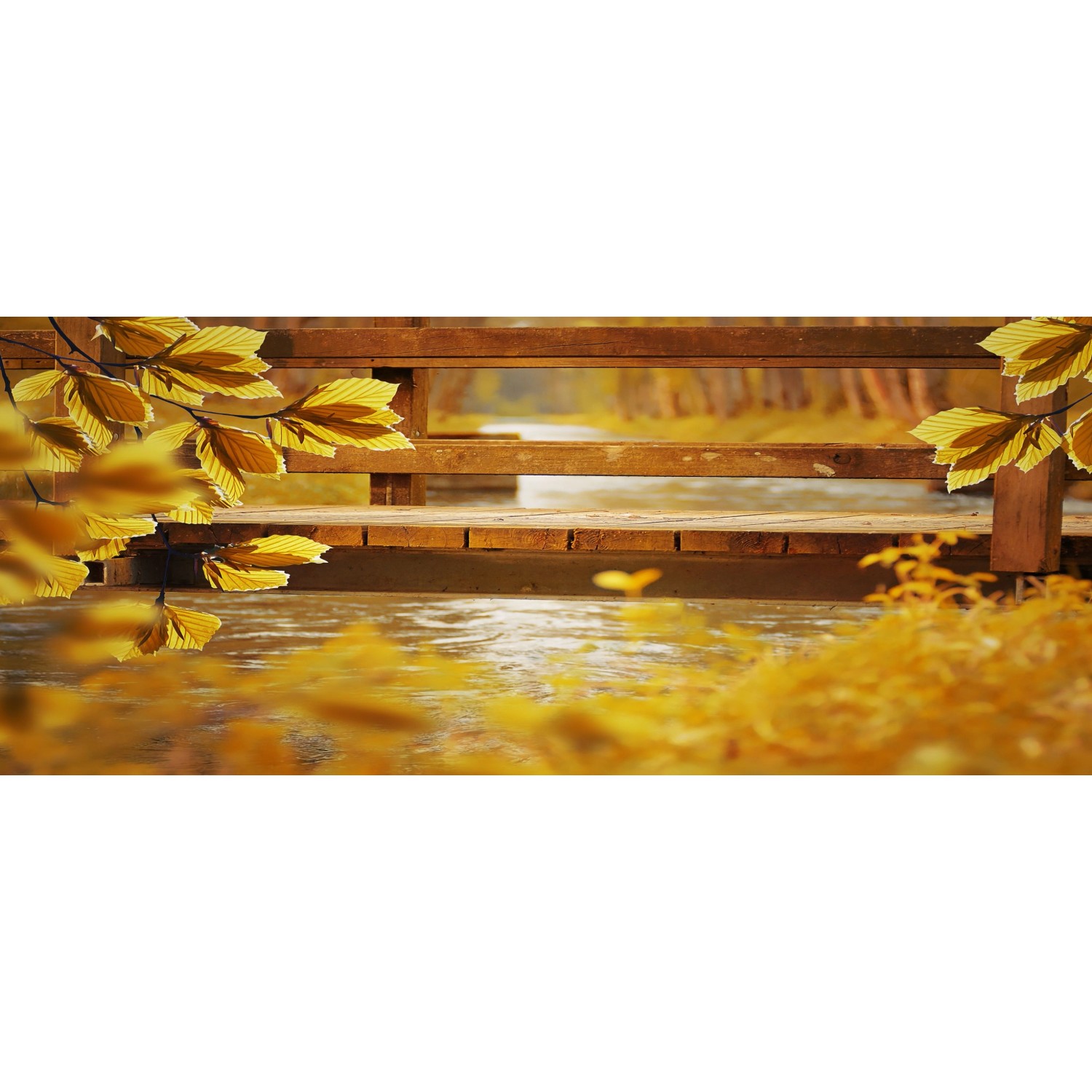 Bondecor Obraz, tištěné plátno Podzimní krajina 50 x 120 cm