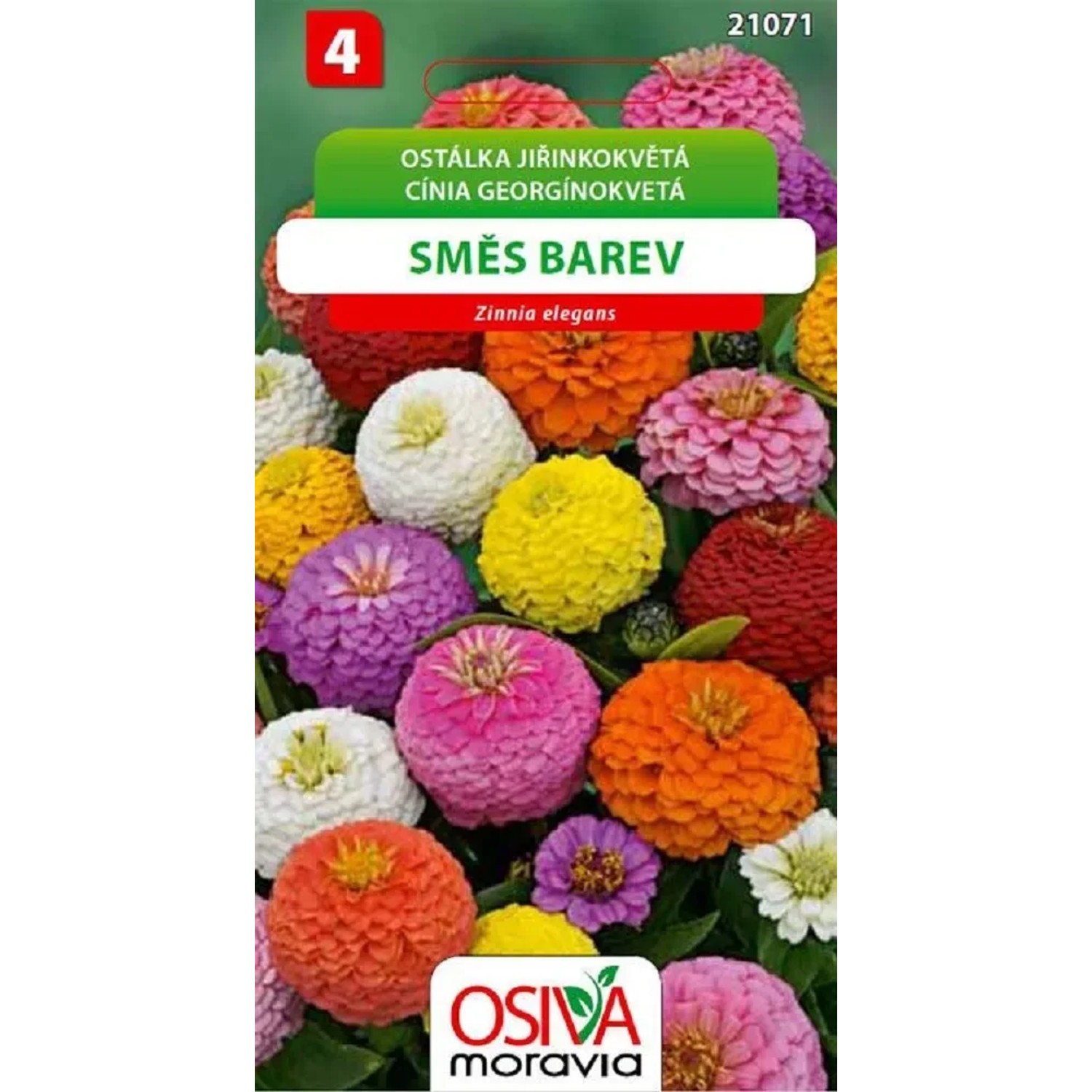 Semínka Ostálka jiřinkokvětá směs barev (Zinnia elegans)