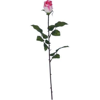 Růže Venus s kapkami vody 60 cm růžová
