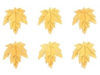 Anděl Přerov List dřevěný na kolíčku, oranžová, 6 ks, 4 cm Anděl Přerov List dřevěný na kolíčku, oranžová, 6 ks, 4 cm