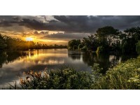 Bondecor Obraz, tištěné plátno Slunce 80 x 150 cm