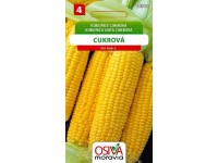 Semínka Kukuřice cukrová (Zea mays L.)