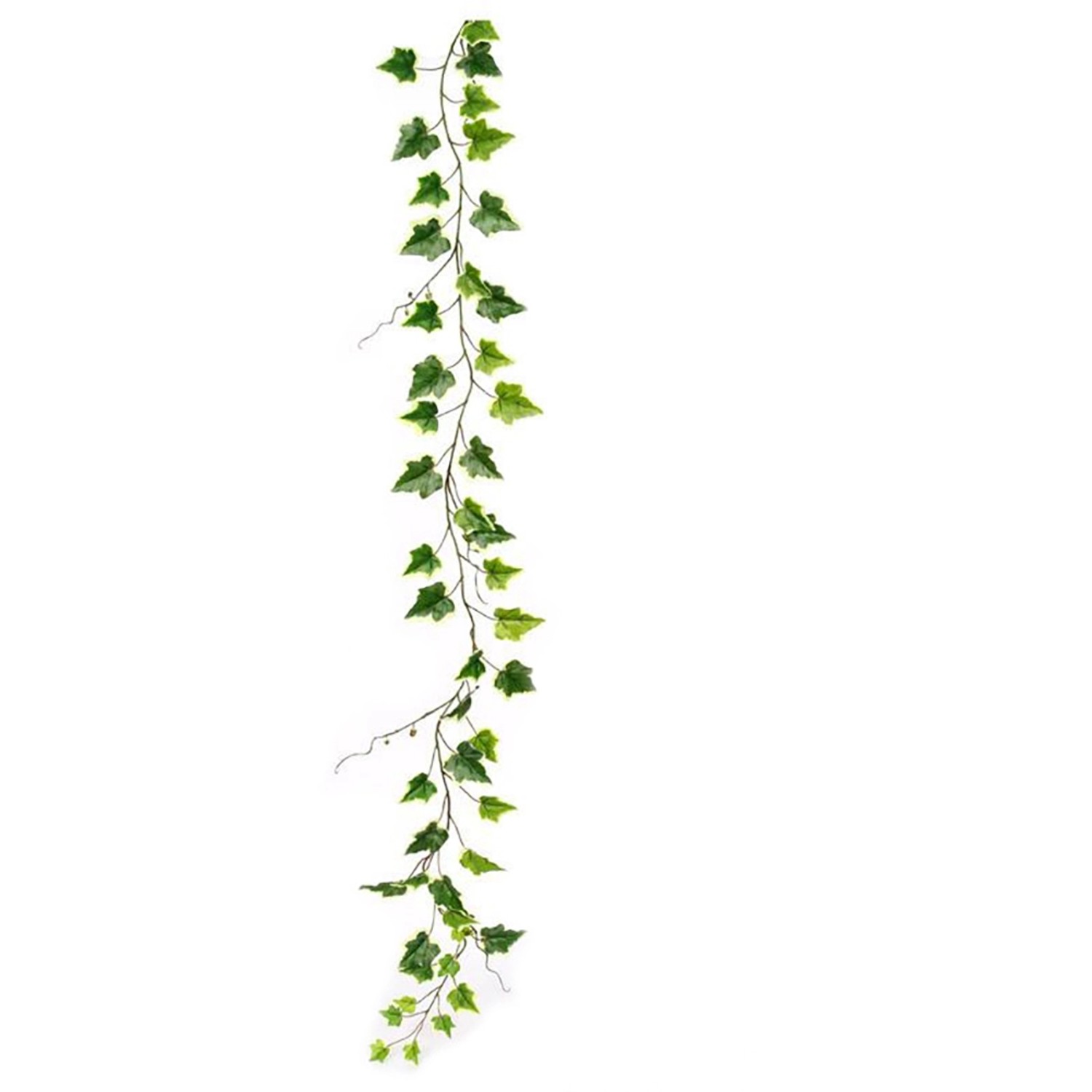 Flower Power Umělý břečťan girlanda žíhaný, 170 cm