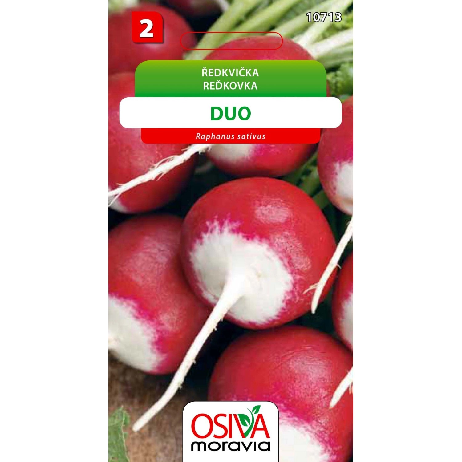 Semínka Ředkvička Duo (Raphanus sativus)