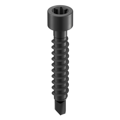 GS Terrassen Samovrtný šroub válcová hlava, A2, černá, pr. 4,2 x 17 mm, 100 ks