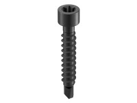 GS Terrassen Samovrtný šroub válcová hlava, A2, černá, pr. 4,2 x 17 mm, 100 ks