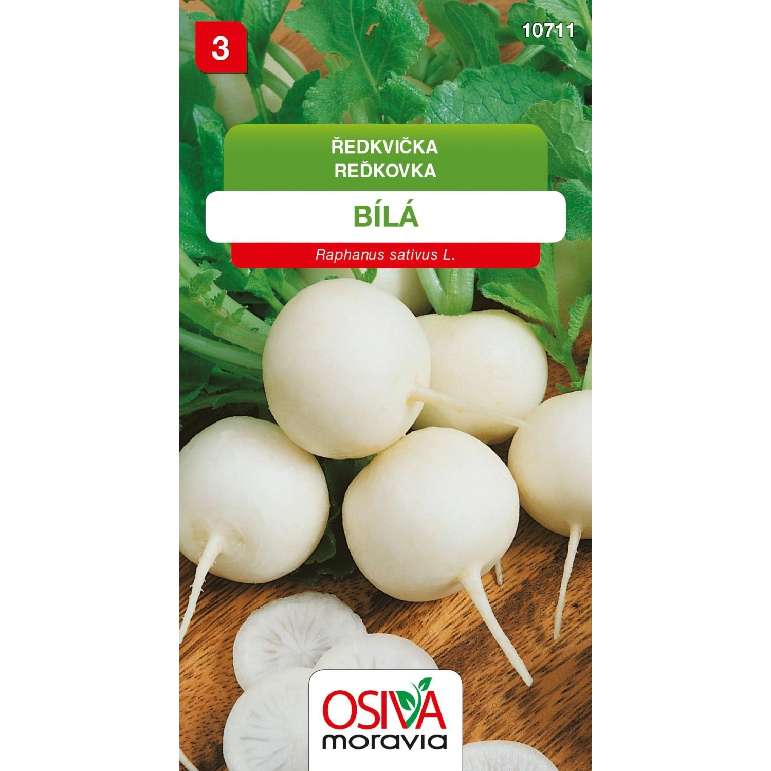 Ředkvička - bílá (Raphanus sativus)