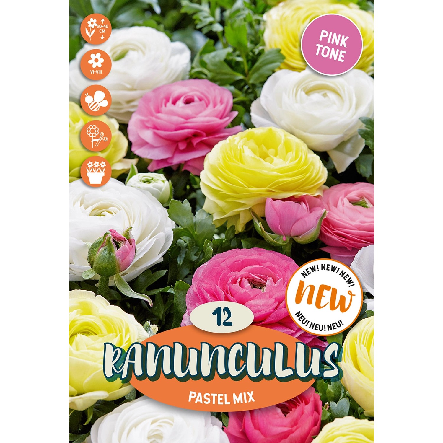 Royal De Ree Holland Květinové cibulky Ranunculus Pastel Mix 12 ks