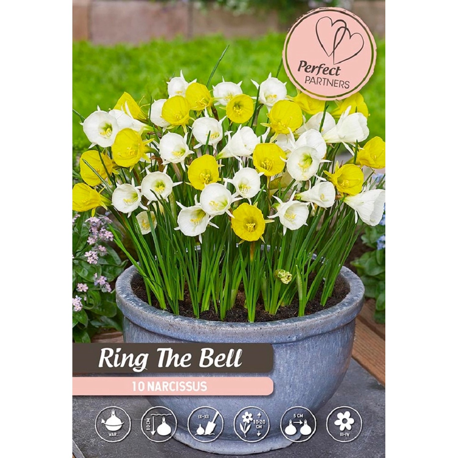 Narcis "Ring the Bell" mix