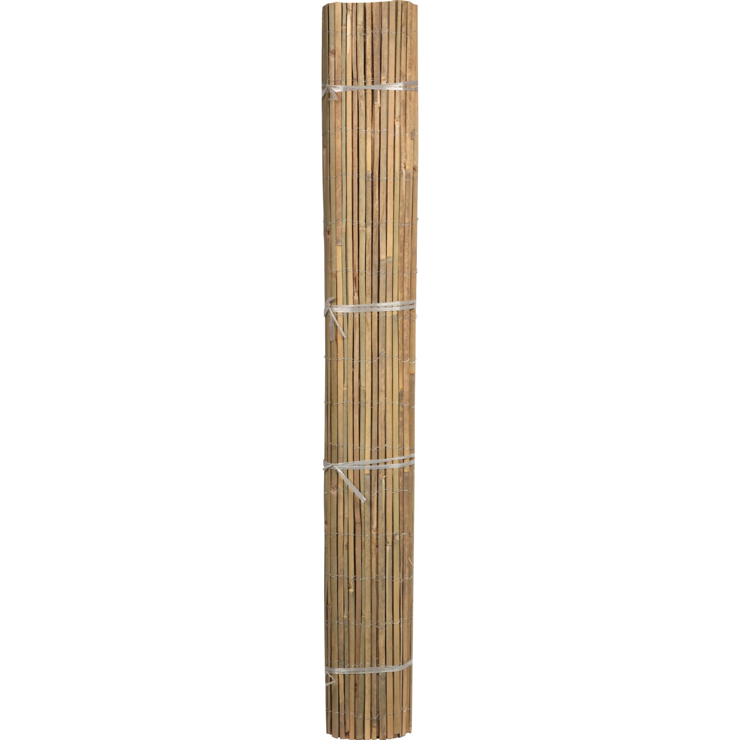 FLORAWORLD Bambusová rohož Classic štípaná světlá 1,8 x 3 m