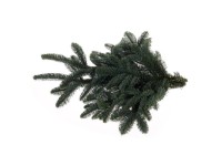 WW Flora Chvojí Jedle Nobilis 0,5 kg