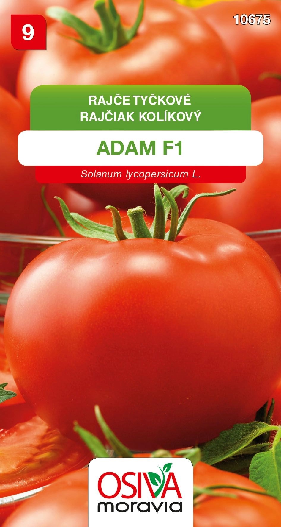 ru rajce Semínka Rajče tyčkové Adam F1 (Solanum lycopersicum L.) koupit v OBI