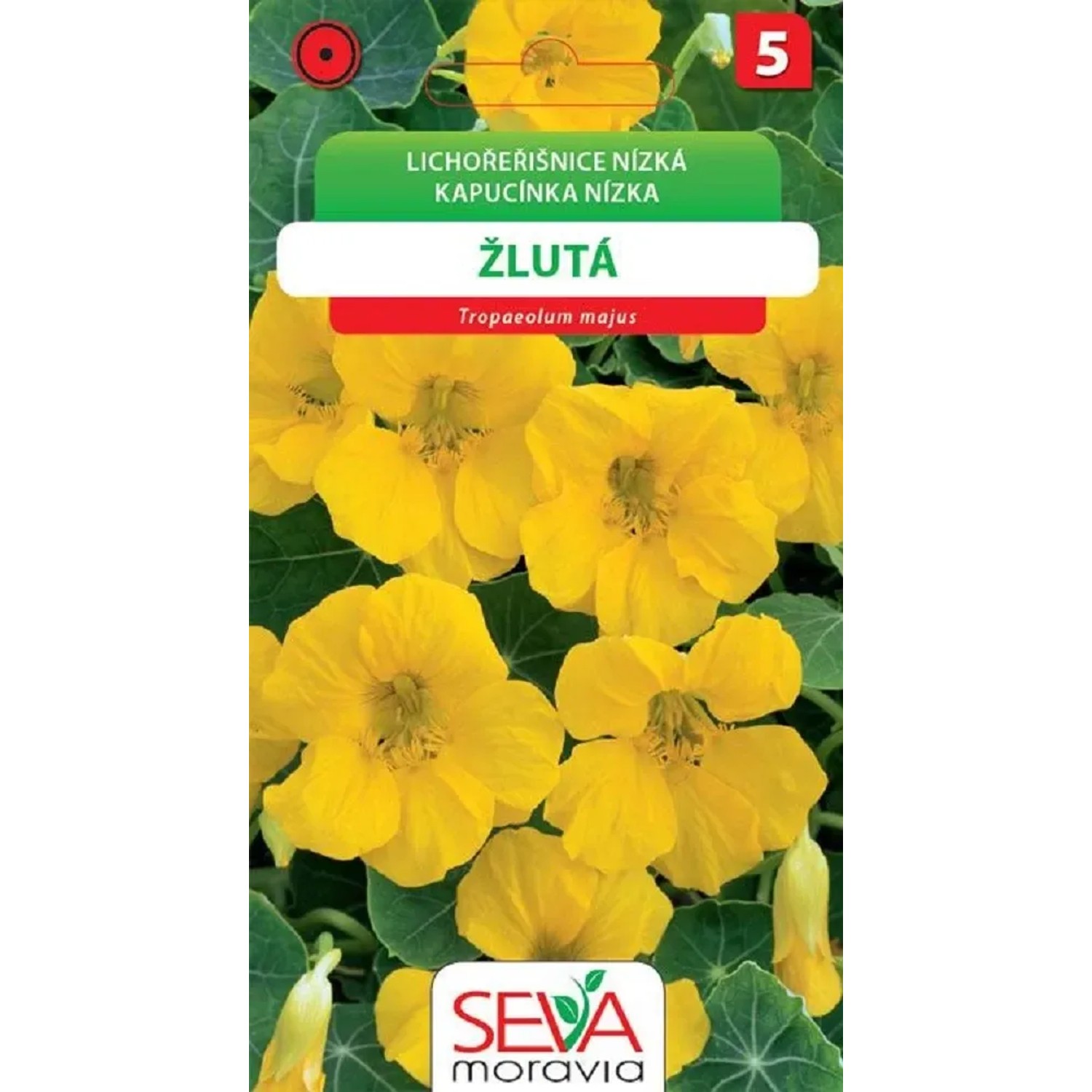 Semínka Lichořešnice žlutá (Tropaeolum nanum)