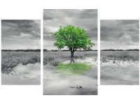 Bondecor 3dílná sada obrazů Black and White 50 x 70 cm