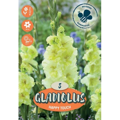 Royal De Ree Holland Květinové cibulky Gladiolus Happy Touch 8 ks