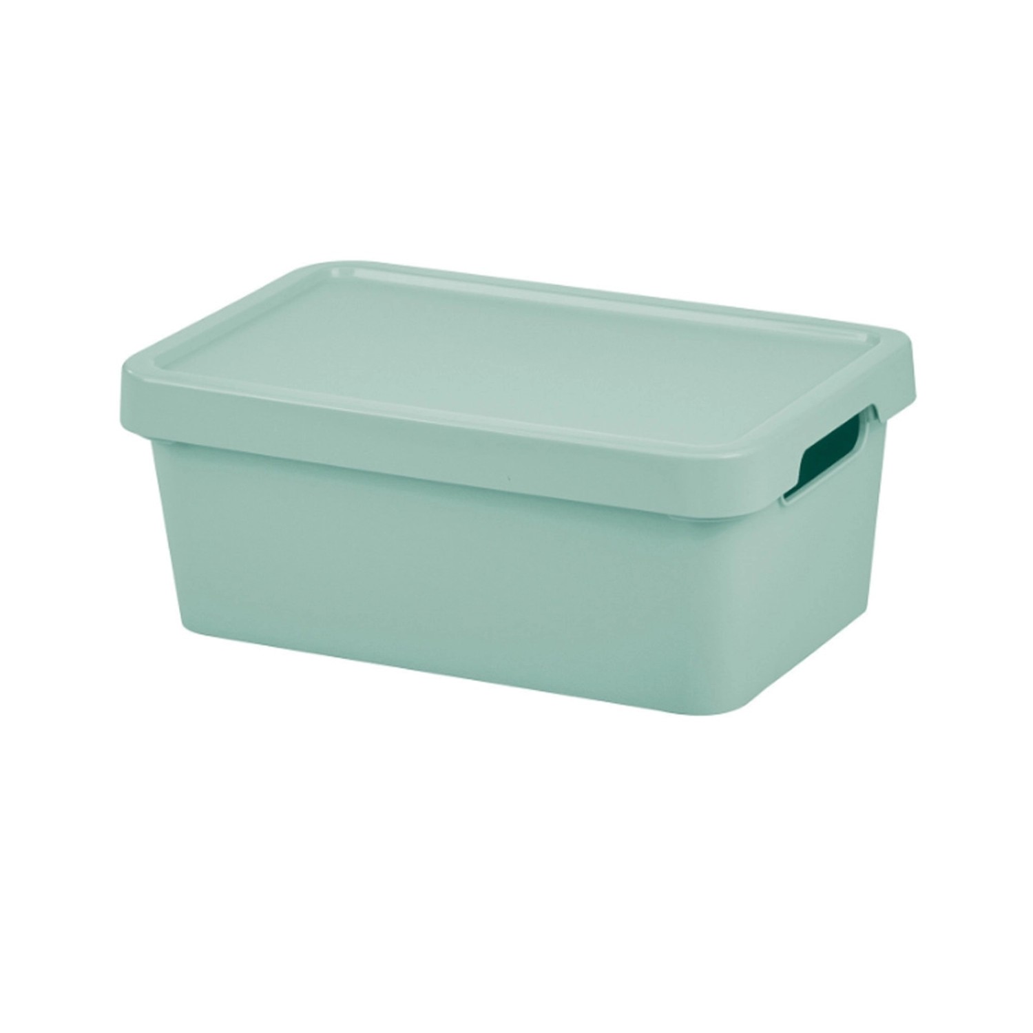 Tontarelli Úložný box s víkem MAYA zelený 4,2 l