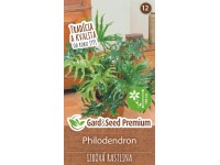philodendron bunt Variegated Philodendron 'Birkin' : Tropical Live Plant - Great for Beg –  Altman Plants main image 1