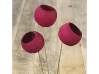 Dekorativní sušená rostlina Bell Cup zápich, burgundská