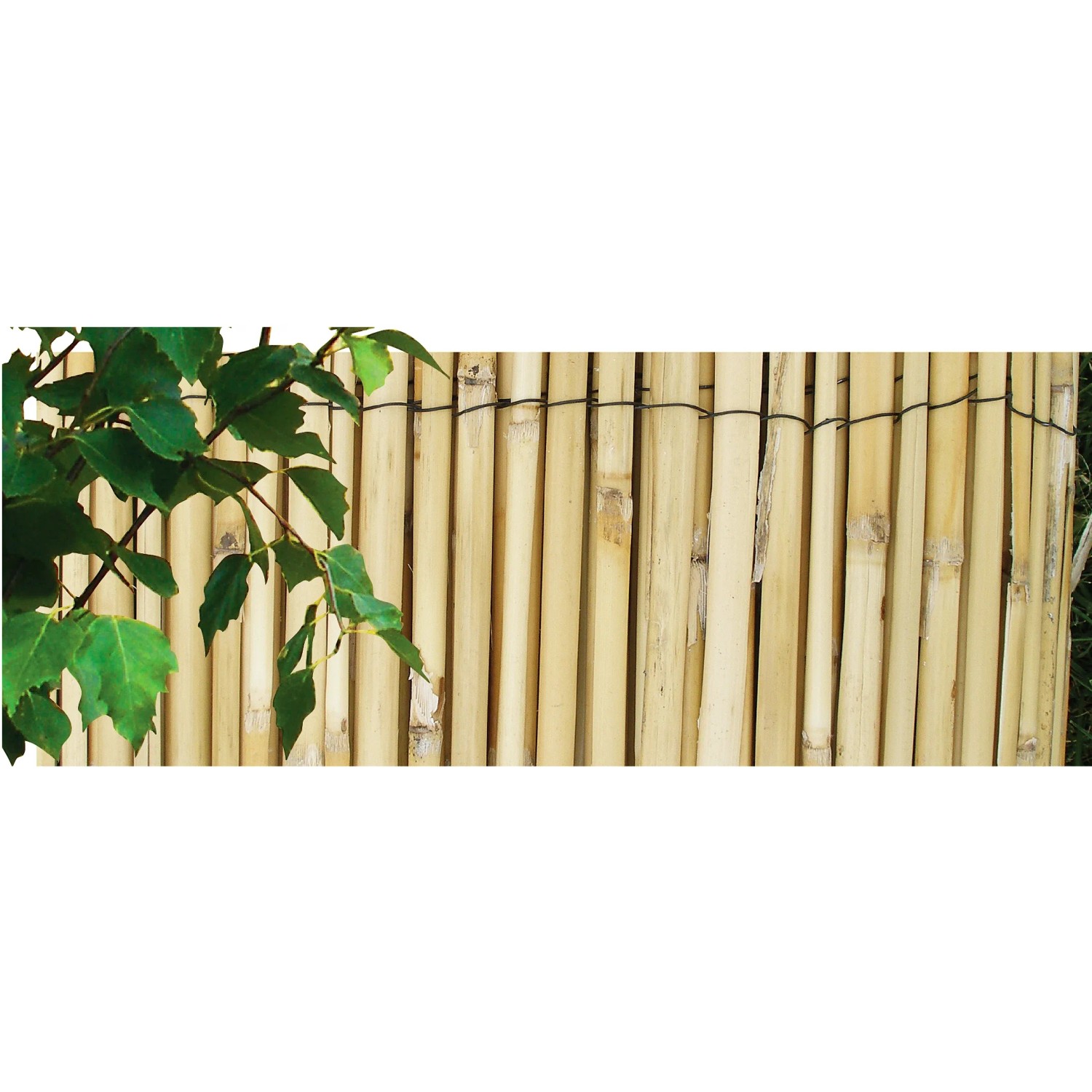 NOHEL GARDEN Rákosová rohož ze štípaného rákosu 1,5 x 5 m