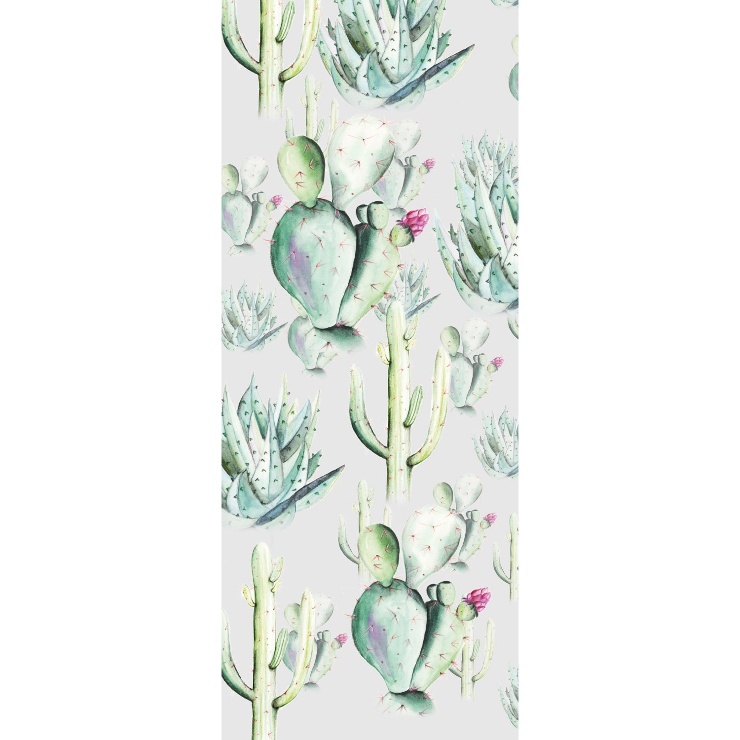 Komar Vliesová fototapeta Cactus Grey 100 x 250 cm