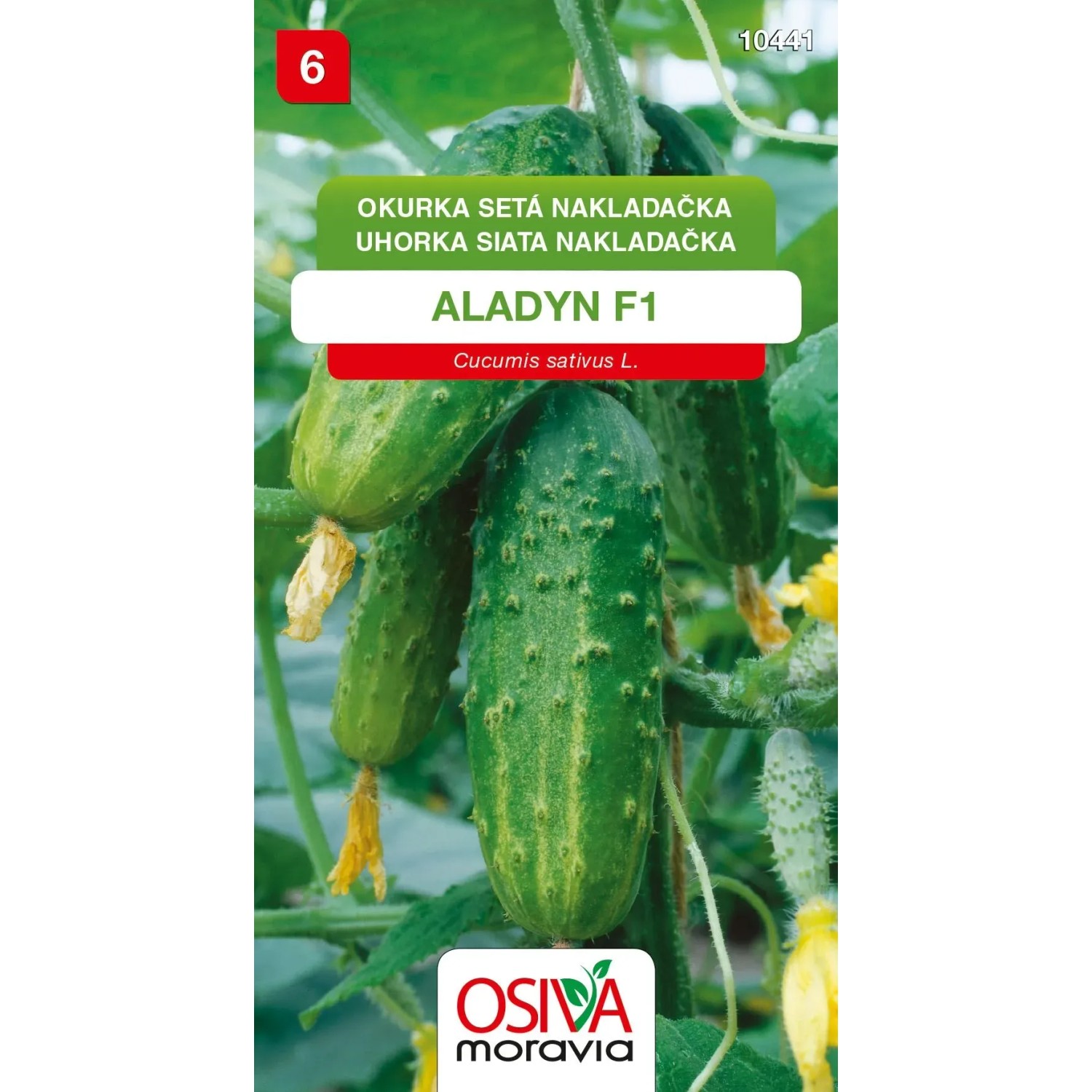 Semínka Okurka setá nakladačka Aladyn F1 (Cucumis sativus L.)