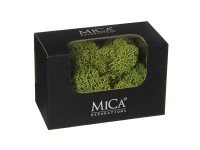 MICA Decorations Sobí mech zelený 50 g