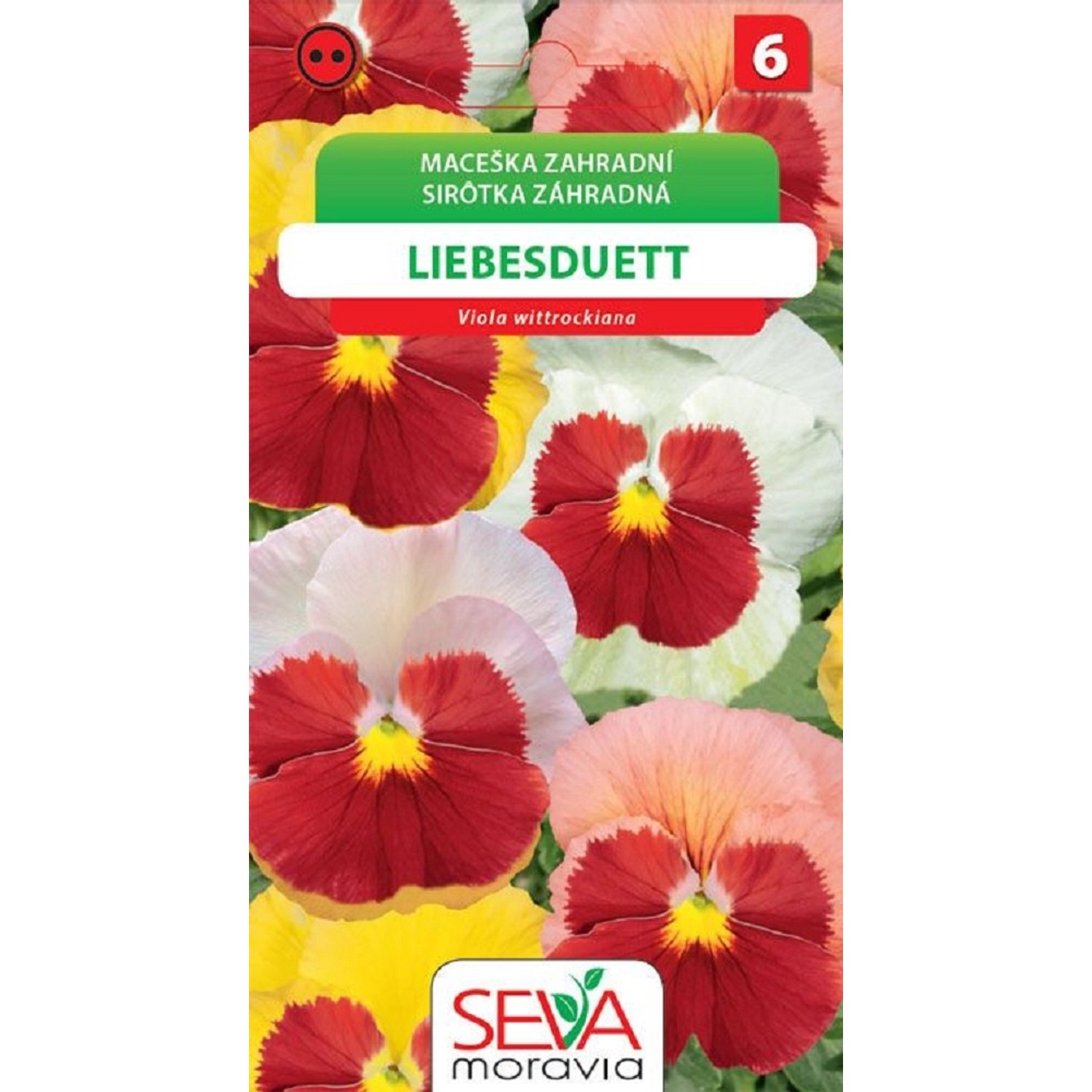 Semínka Maceška zahradní Liebesduett (Viola wittrockiana)