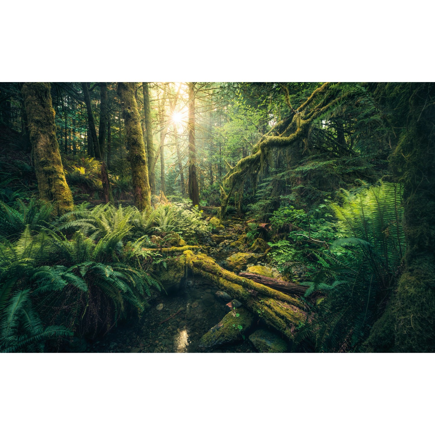 Komar Vliesová fototapeta Elves Cathedral 450 x 280 cm