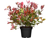 OBI Blýskalka OBI Blýskalka