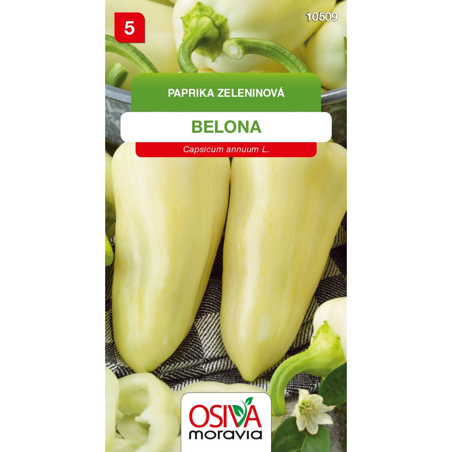 Paprika Zeleninová - sladká - Belona (Capsicum annuum L.)
