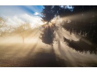 Bondecor Obraz, tištěné plátno Západ slunce 70 x 110 cm